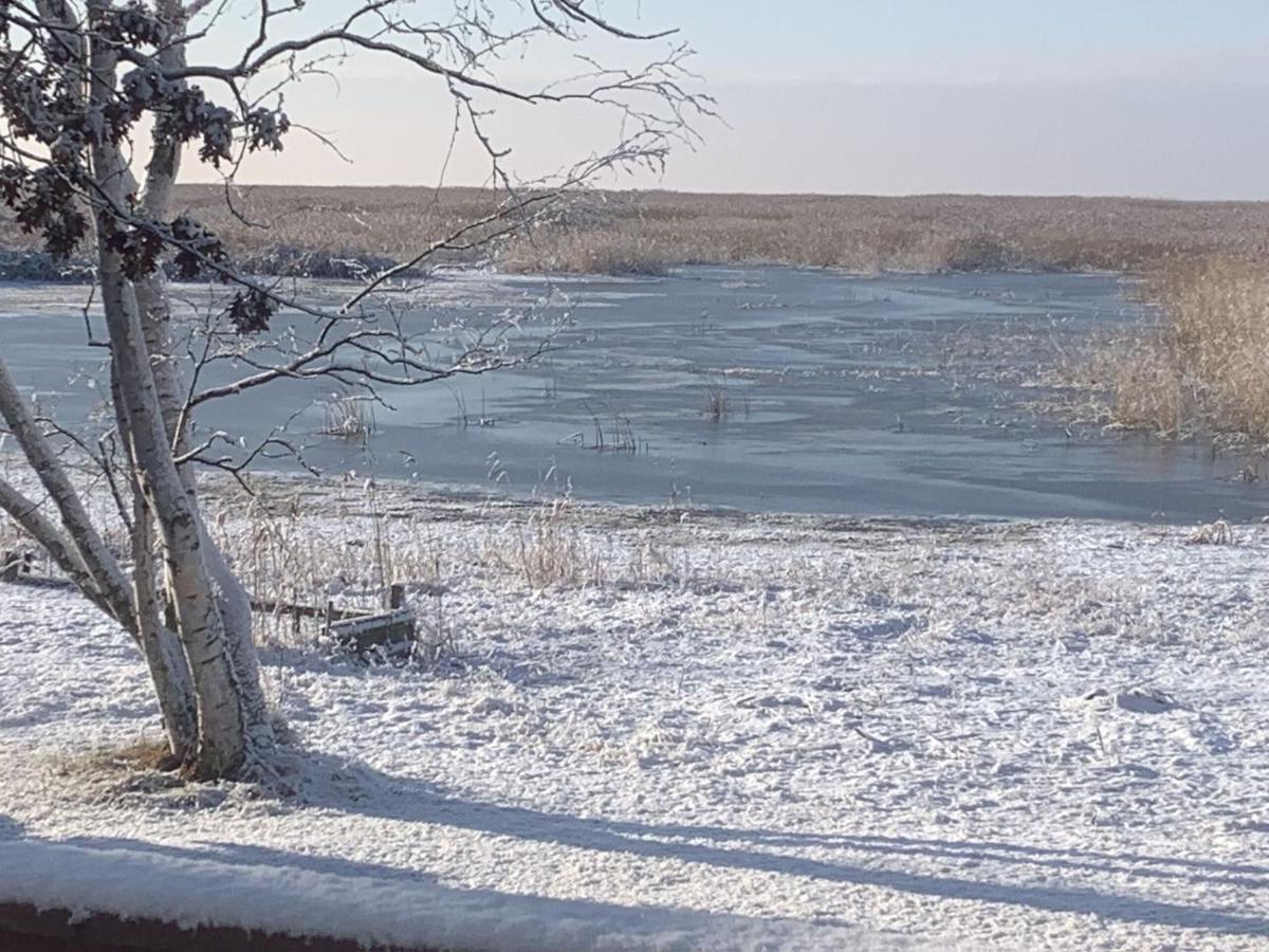 Lakeview & Wildlife Au Gres Εξωτερικό φωτογραφία