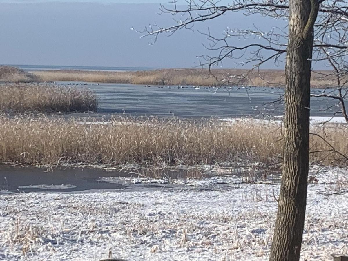 Lakeview & Wildlife Au Gres Εξωτερικό φωτογραφία