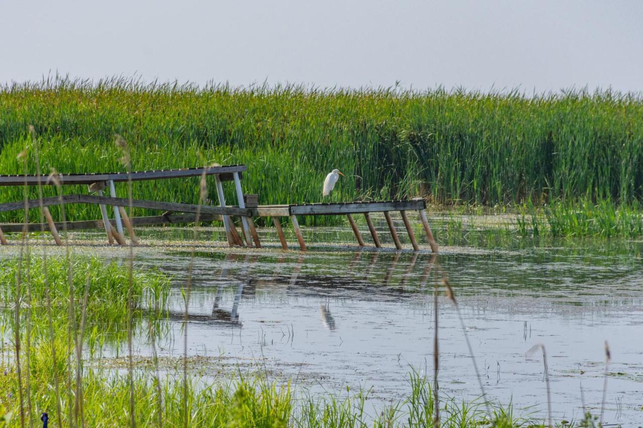 Lakeview & Wildlife Au Gres Εξωτερικό φωτογραφία
